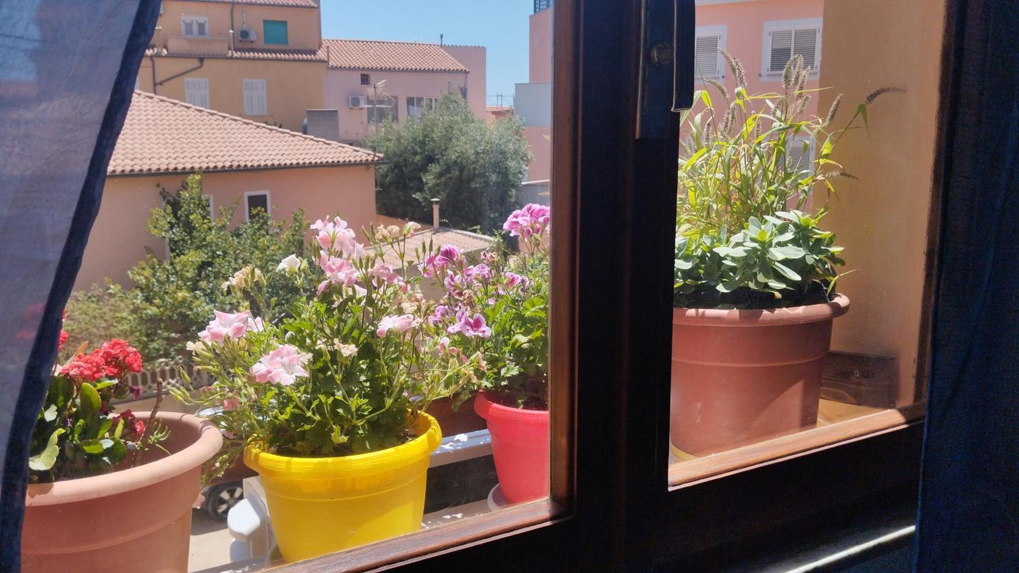 La Maddalena B&B Da Marco Екстер'єр фото